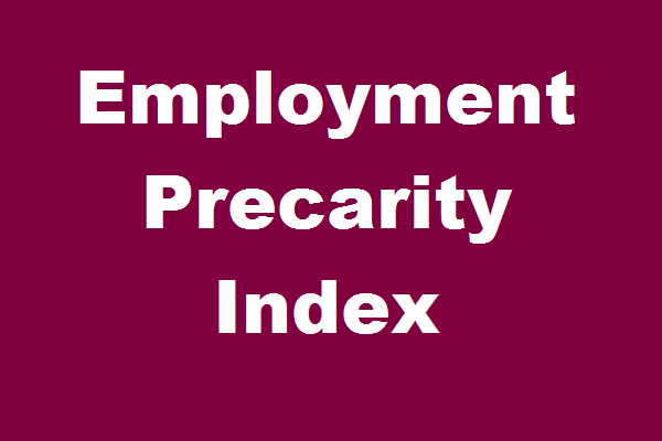 Employment Precarity Index